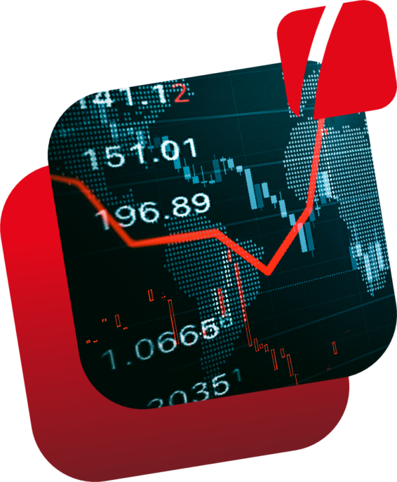 Investor raelations_Head Investor raelations_Head